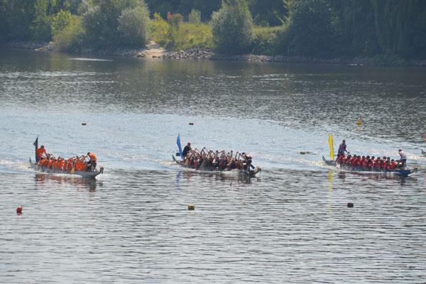 Drachenbootrennen Rhein